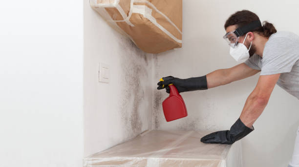 Professional Bathroom Mold Removal technician working in Broomall, PA