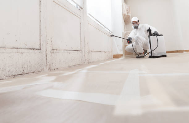24/7 Emergency Bathroom Mold Removal experts in Broomall, PA