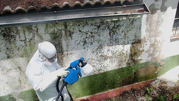 Top rated local Bathroom Mold Removal specialists in Broomall, PA